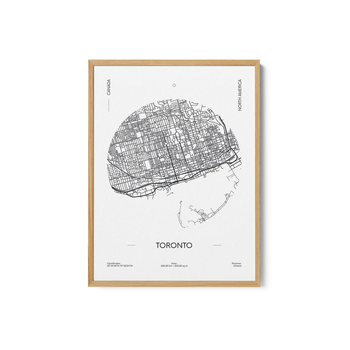 Travel Poster Urban Street Plan City Map of Toronto