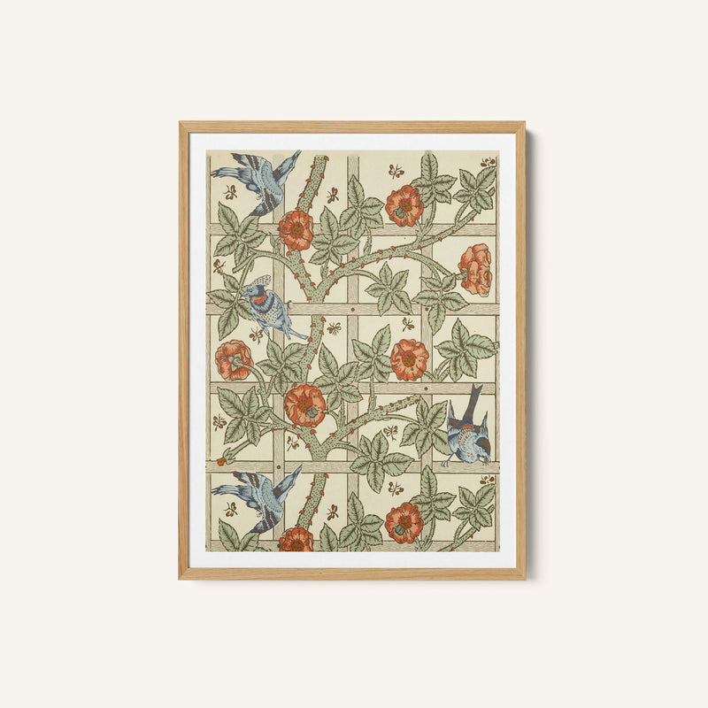 Trellis