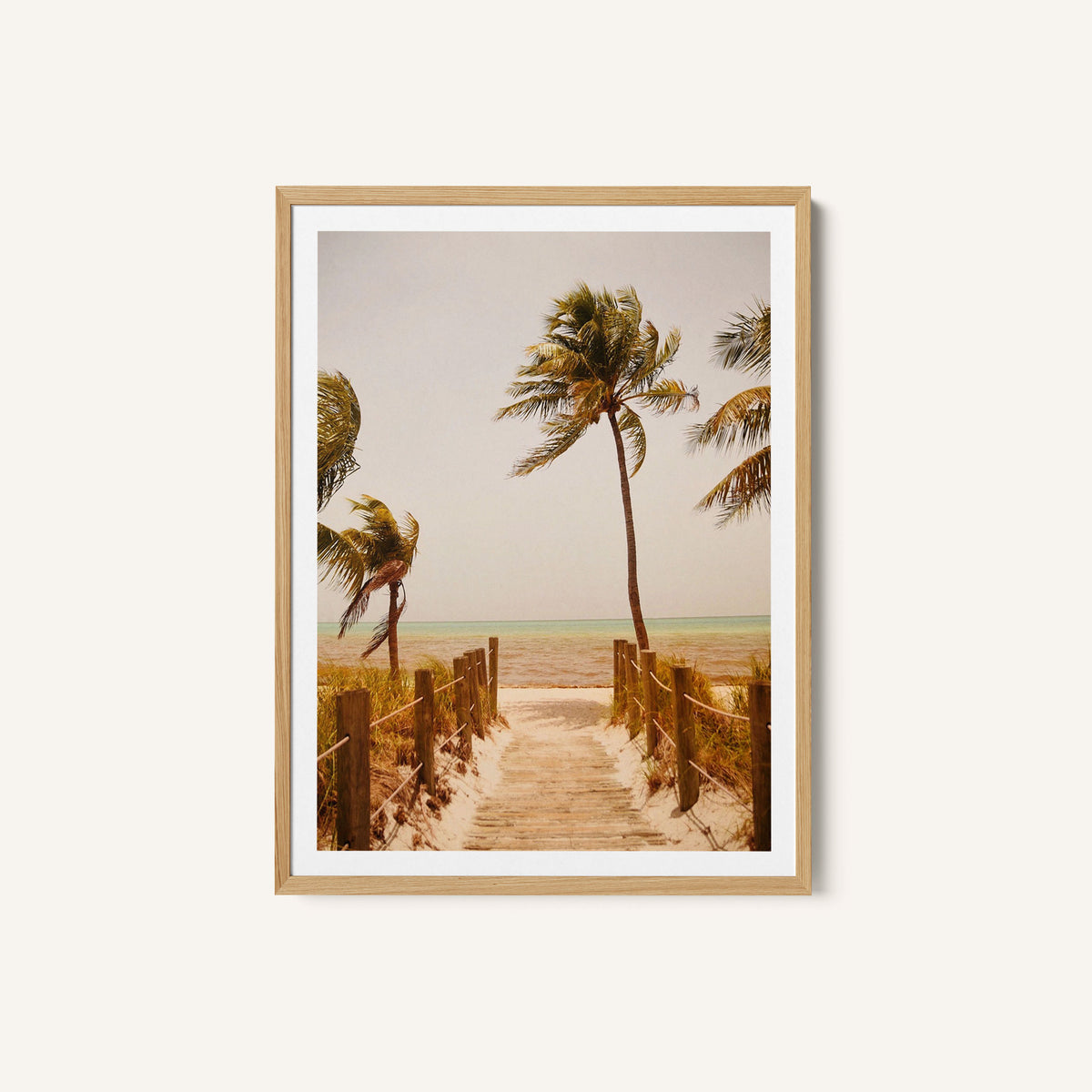 Tropical Paradise Vibes