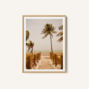 Tropical Paradise Vibes – image 1