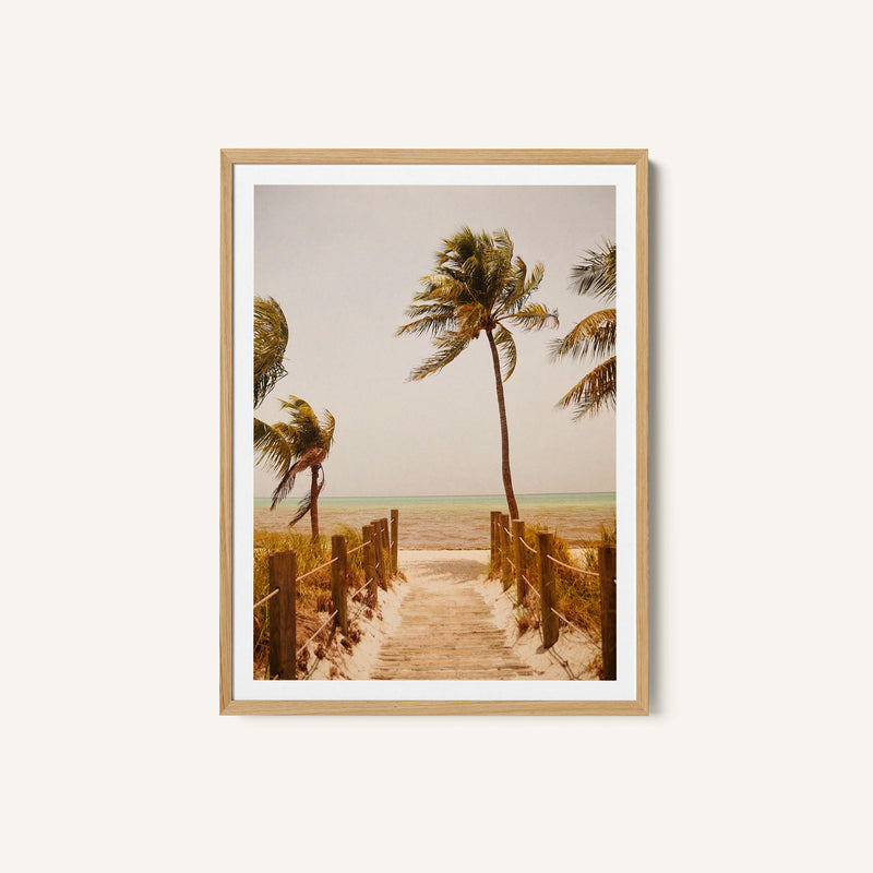 Tropical Paradise Vibes