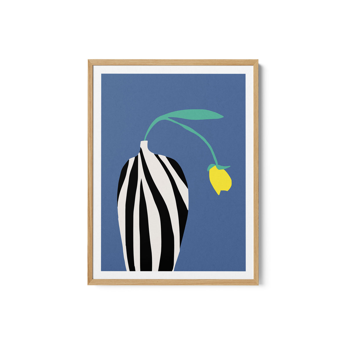 Tulip In Zebra Striped Vase