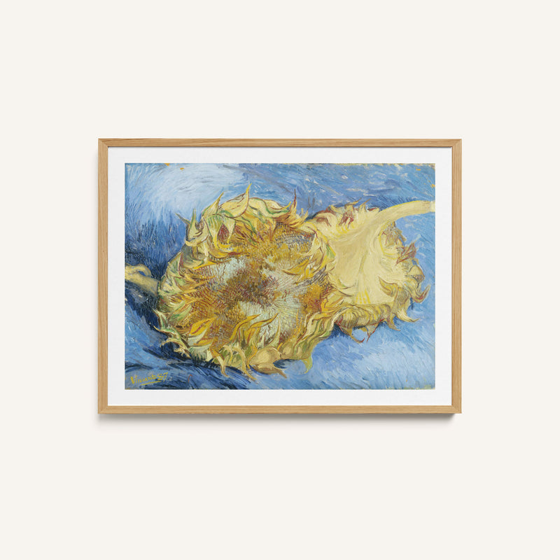 Two Sunflowers