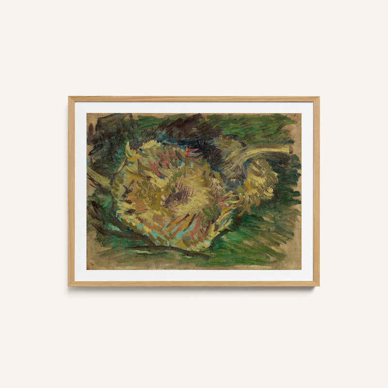 Withered Sunflowers