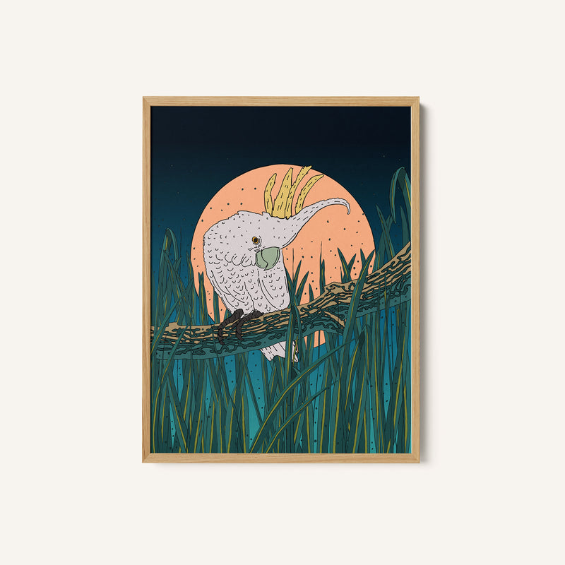 Under the Watchful Moon