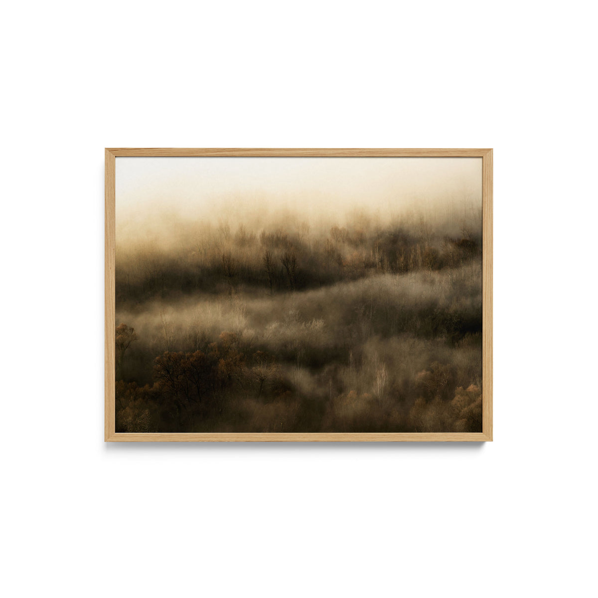 Untitled 03