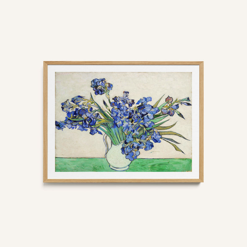 Irises 02
