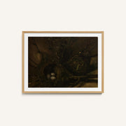 Bird Nests – image 1