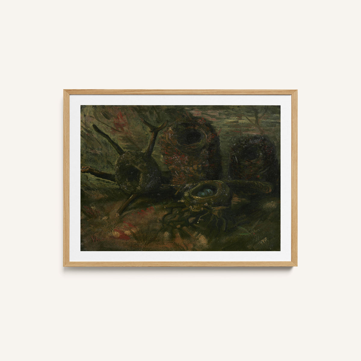 Bird Nests B