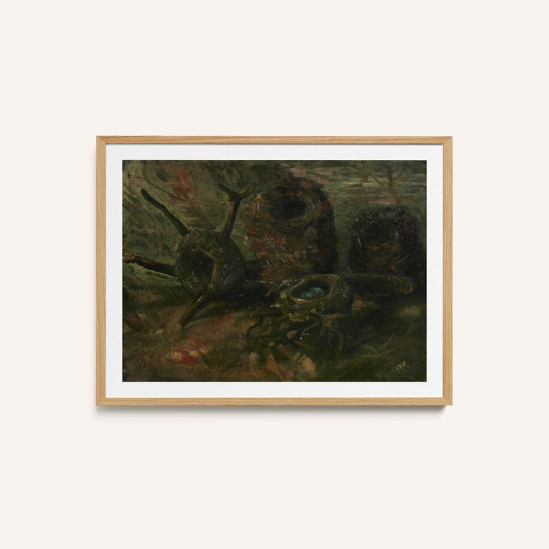 Bird Nests B