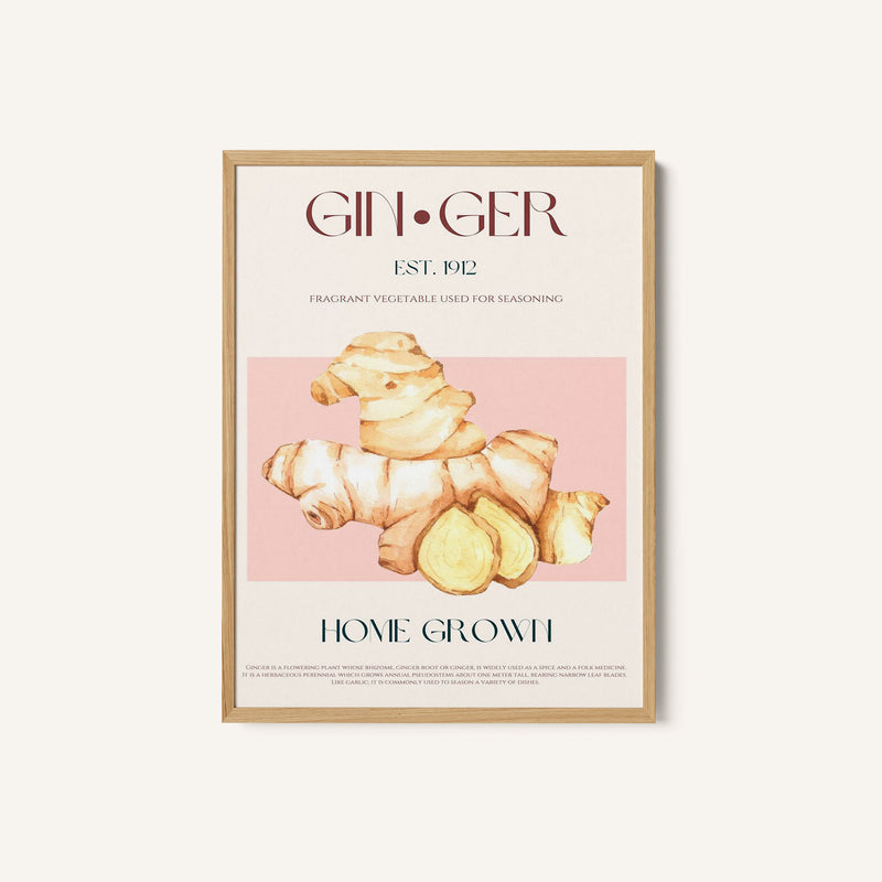 Watercolor Illustration Of Ginger