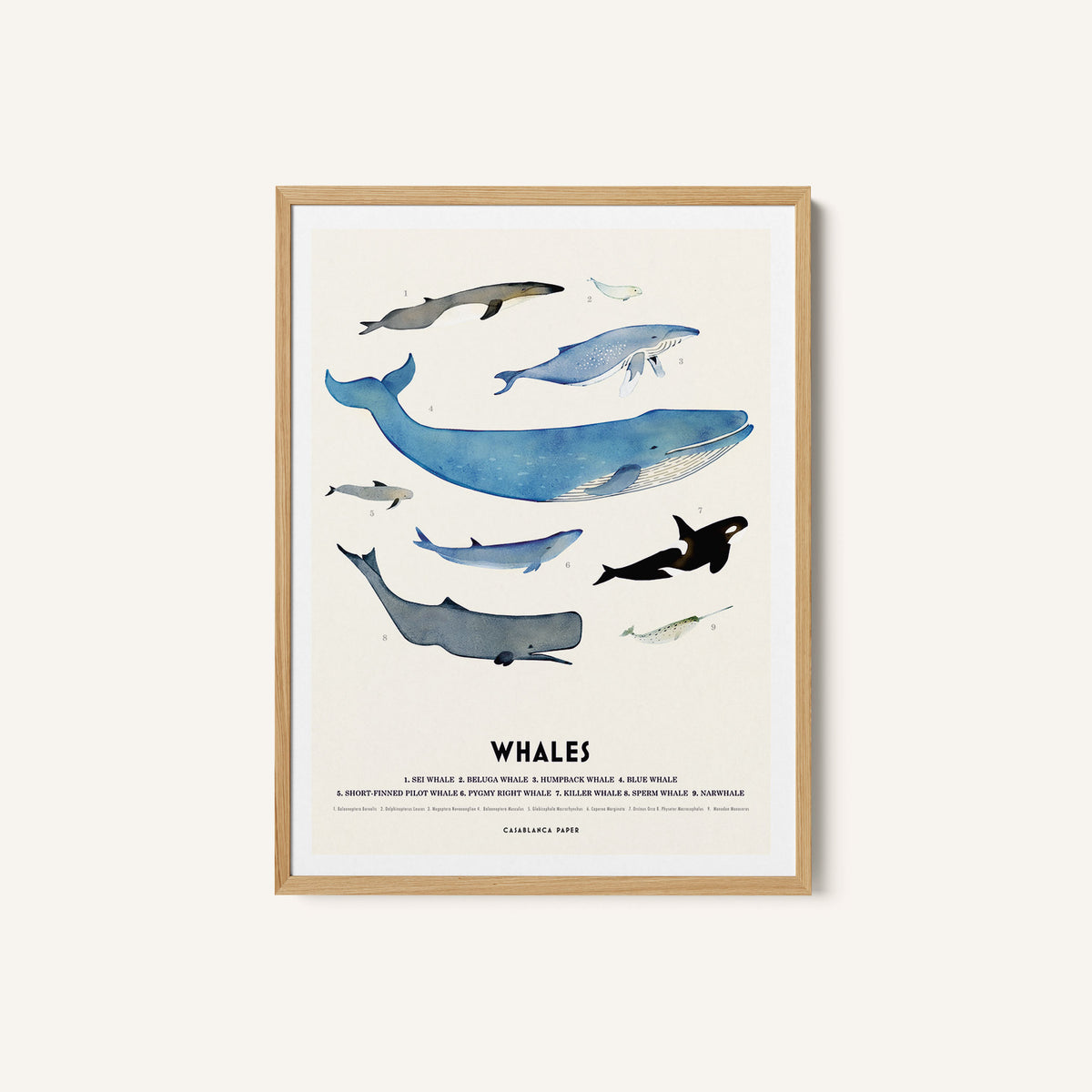 Whales