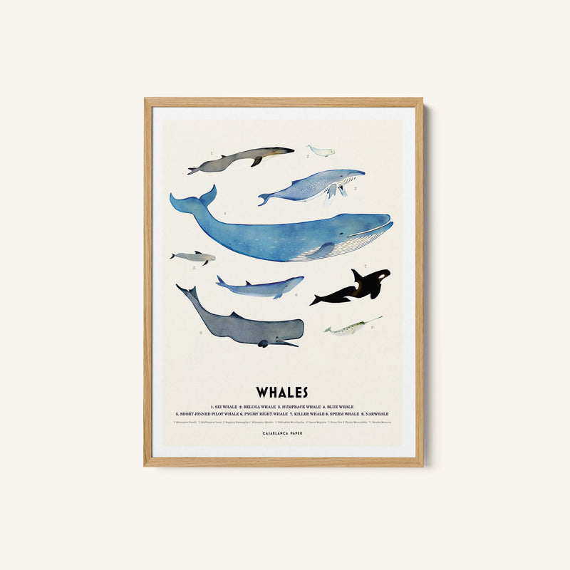 Whales
