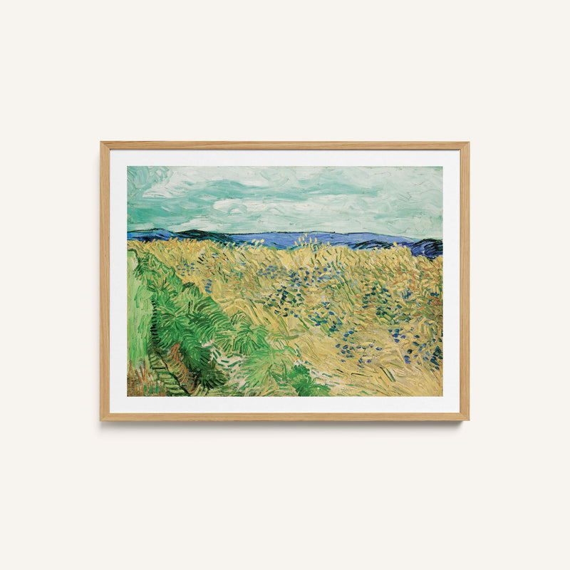 Wheatfield With Cornflowers