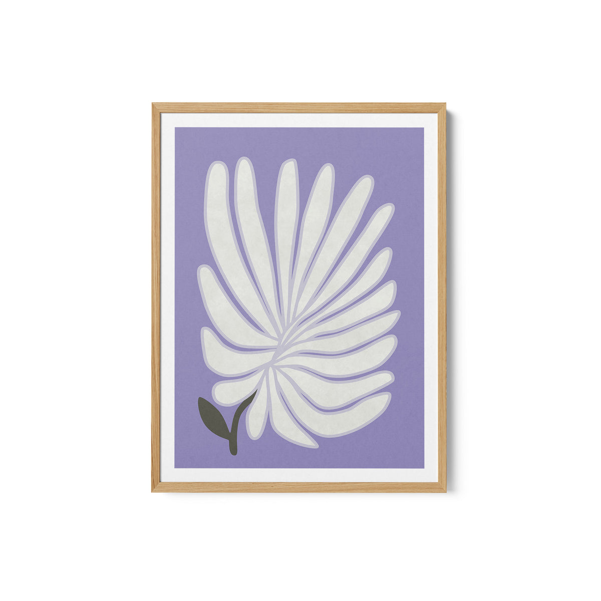 White Chrysanthemum Flower