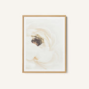 White Flower 01 – image 1