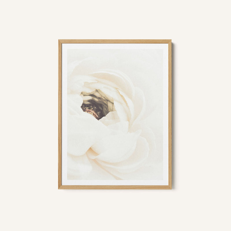 White Flower 01