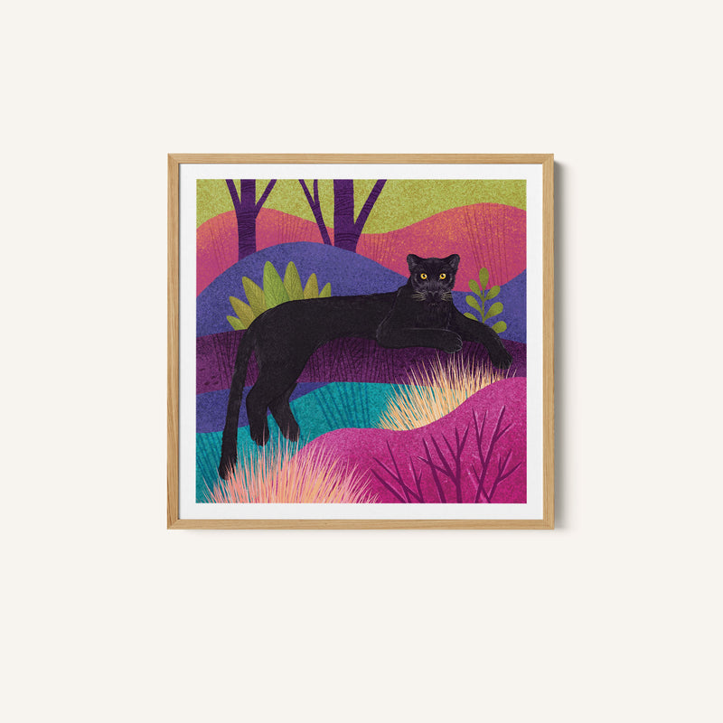 Wild Cat - Black Panther
