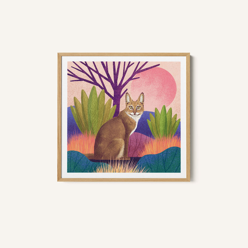 Wild Cat - Jungle Cat