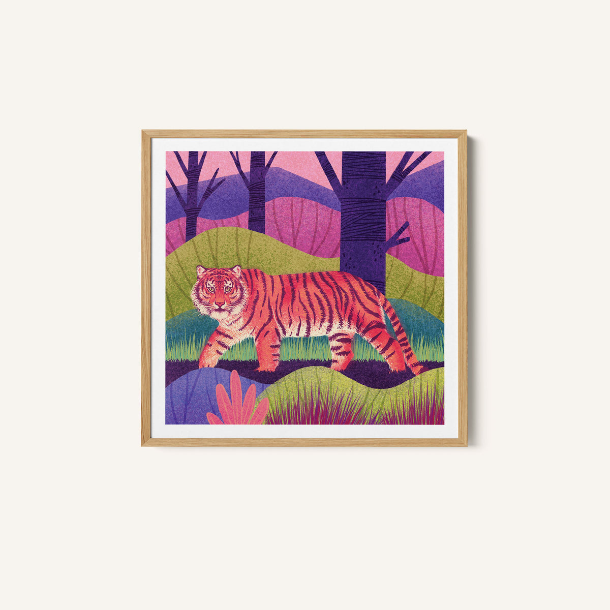 Wild Cat - Tiger