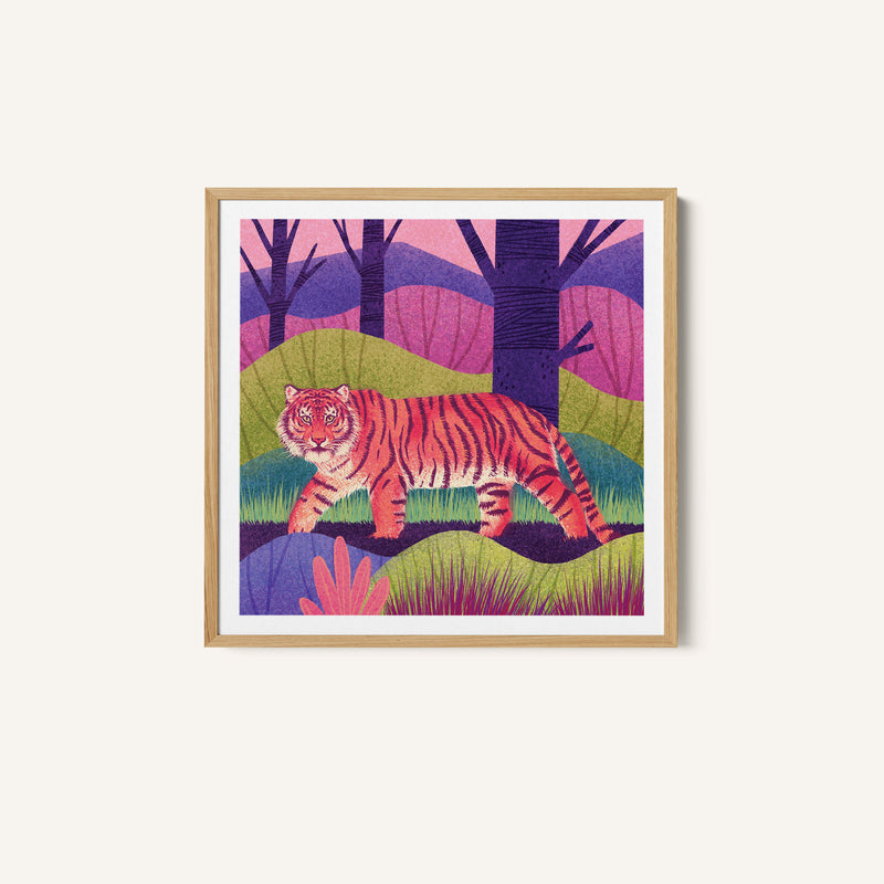 Wild Cat - Tiger