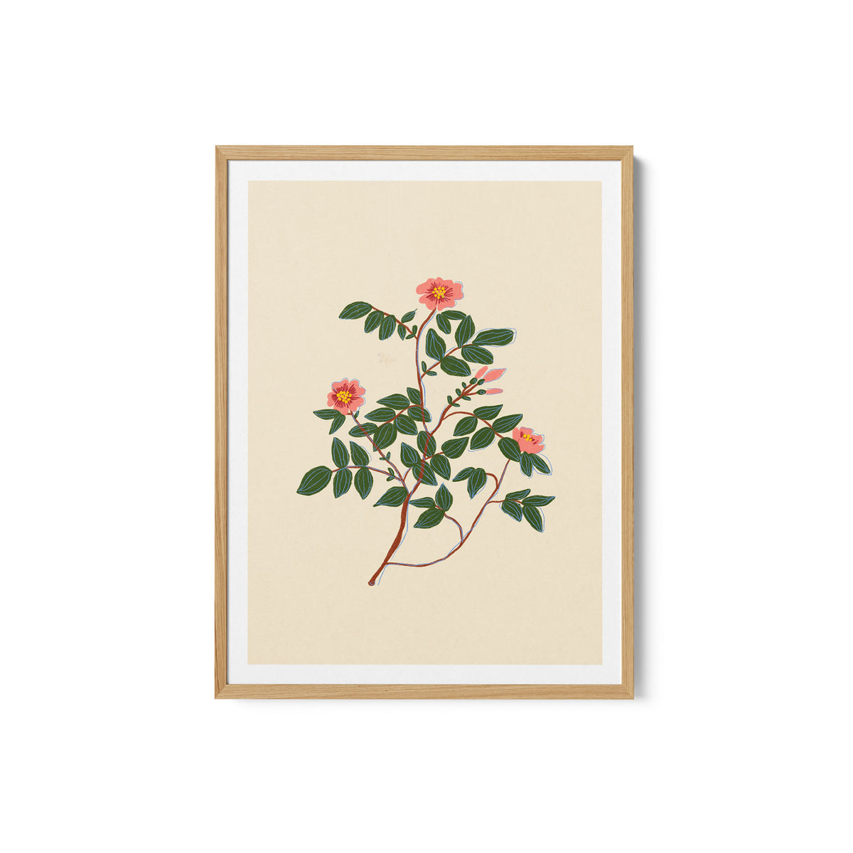 Wild Rose