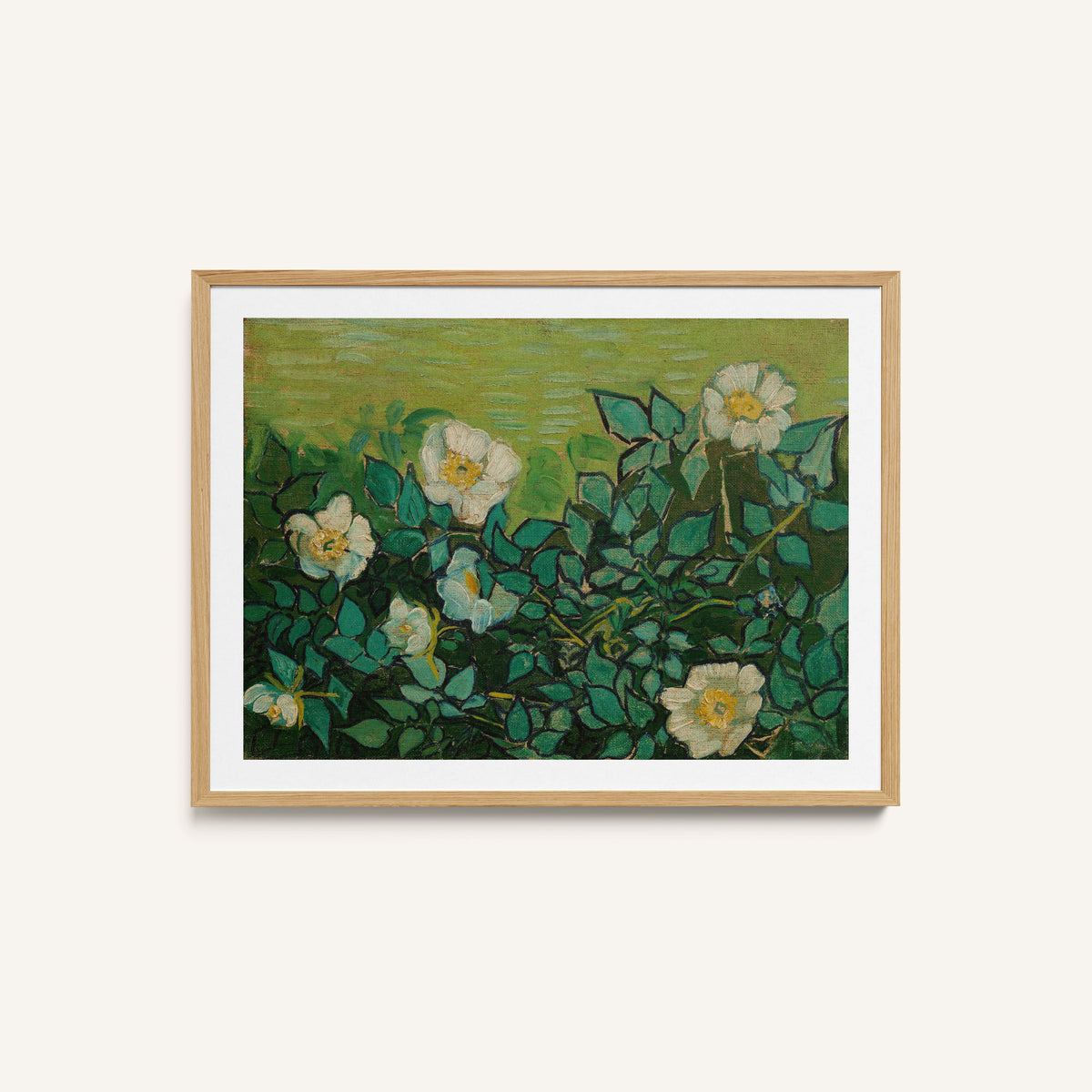 Wild Roses