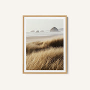 Windswept Grasses and Ocean View – image 1