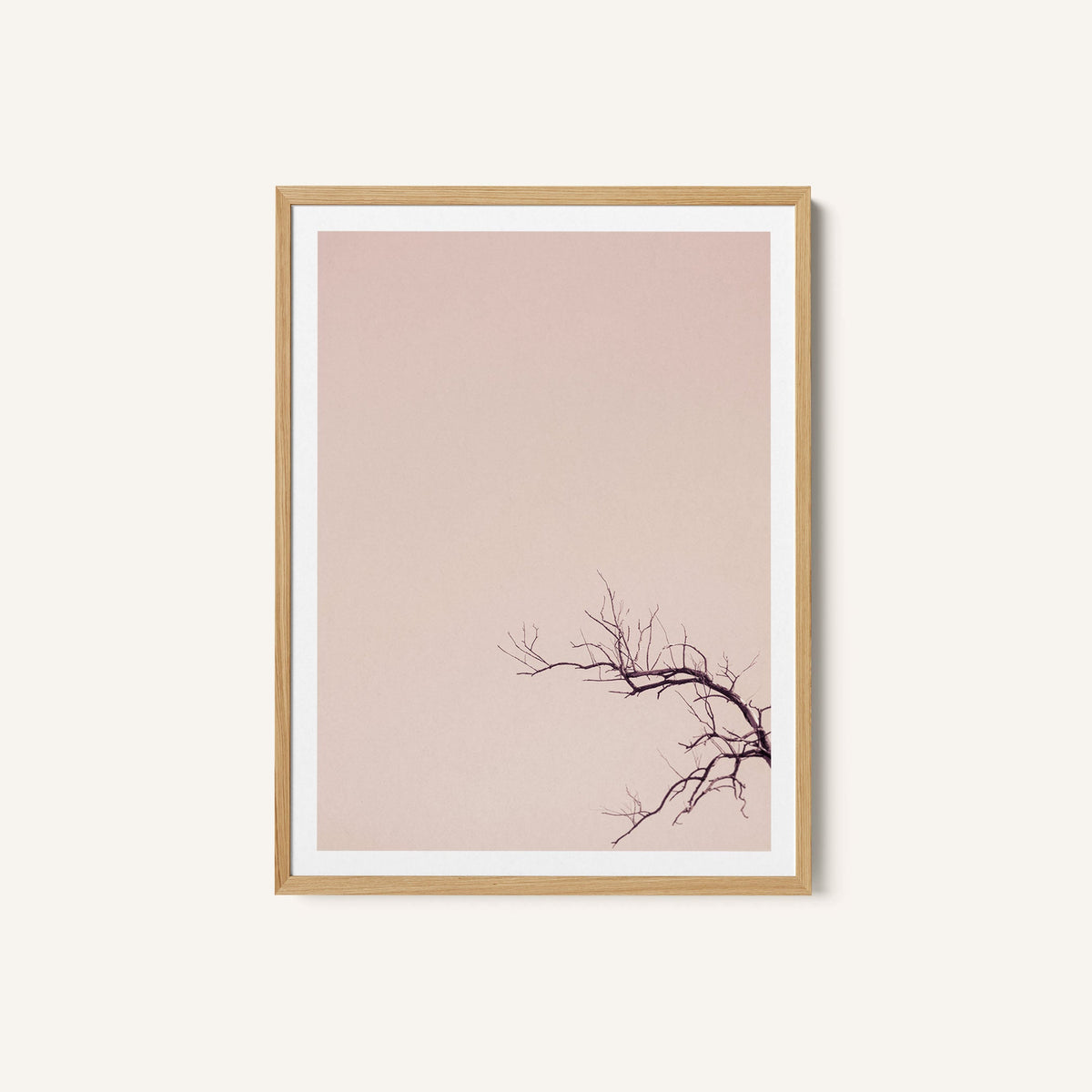Winter Branches And A Pink Sky