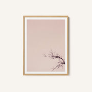 Winter Branches And A Pink Sky – image 1
