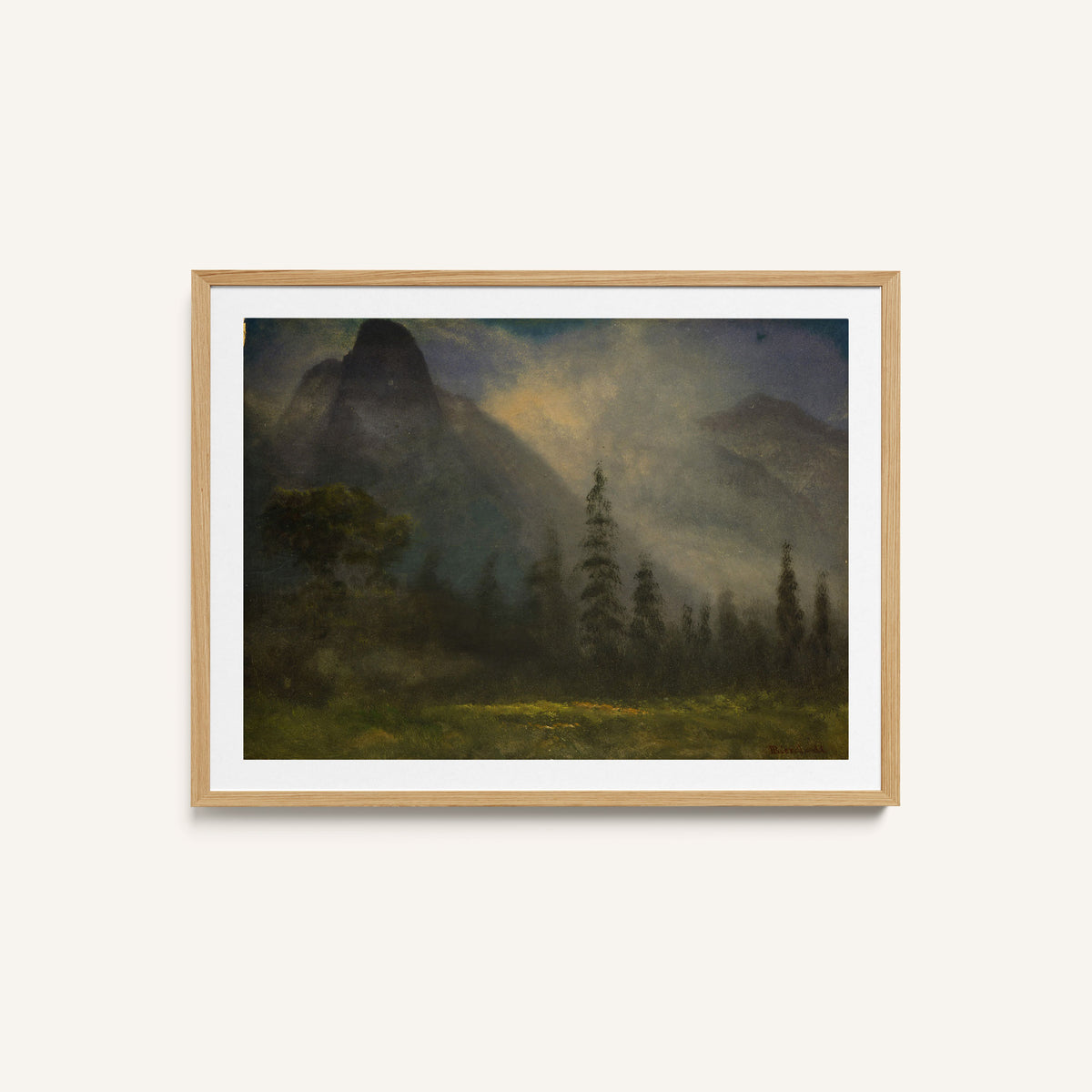 Grizzly Bear Valley