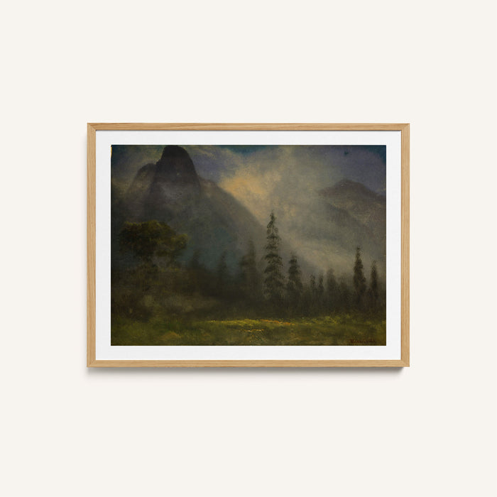 Grizzly Bear Valley