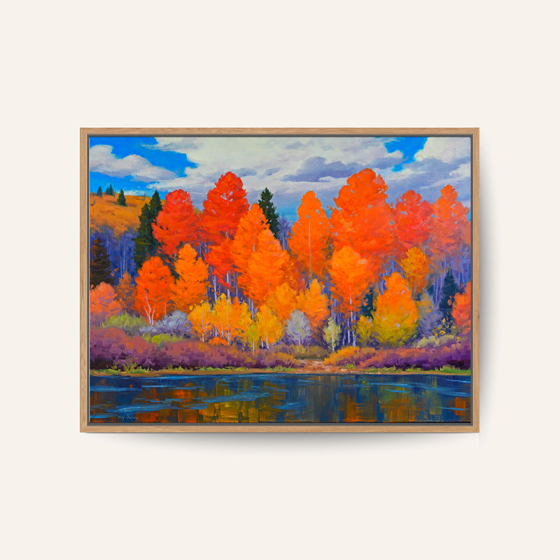 A Forest of Vivid Autumn Foliage