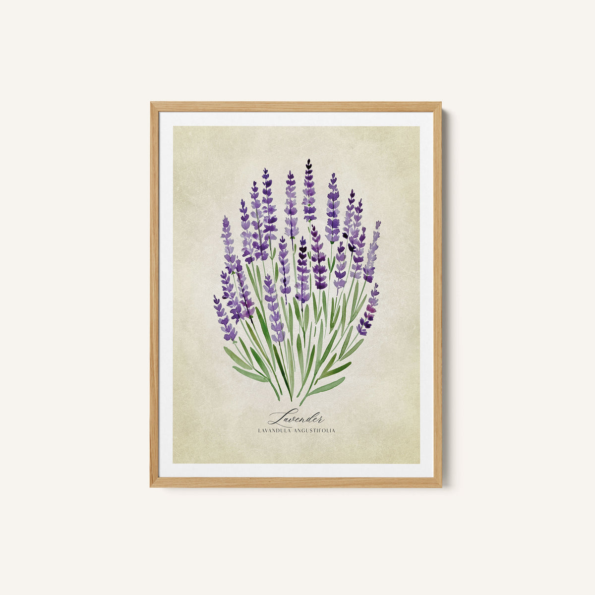 Lavender vintage