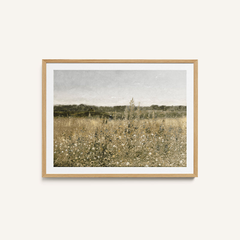 Meadow Montage