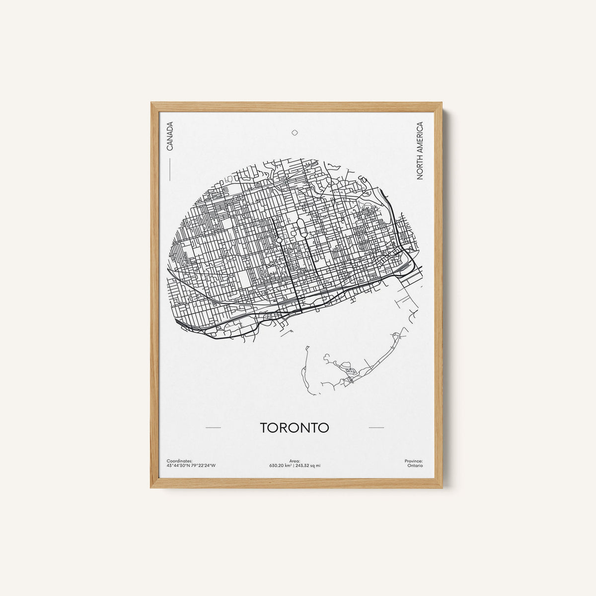 Travel Poster Urban Street Plan City Map of Toronto