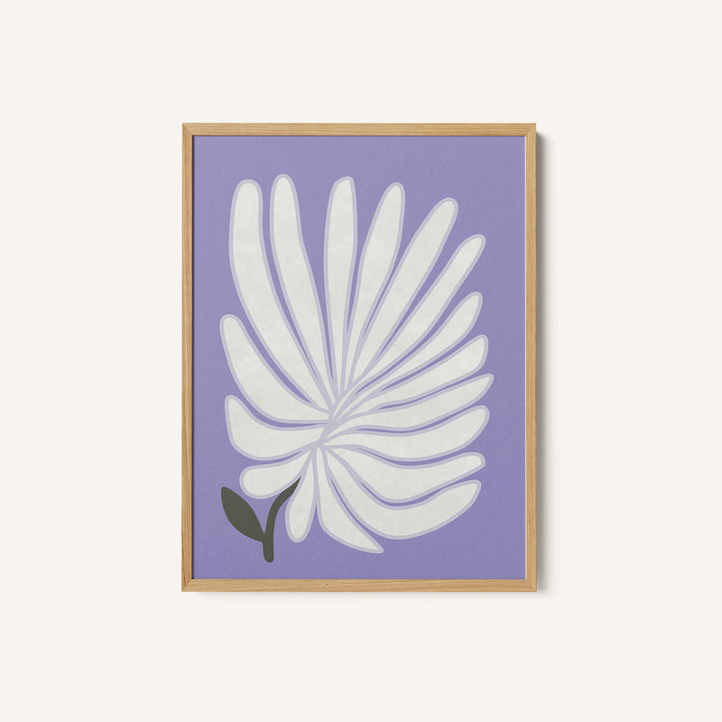 White Chrysanthemum Flower