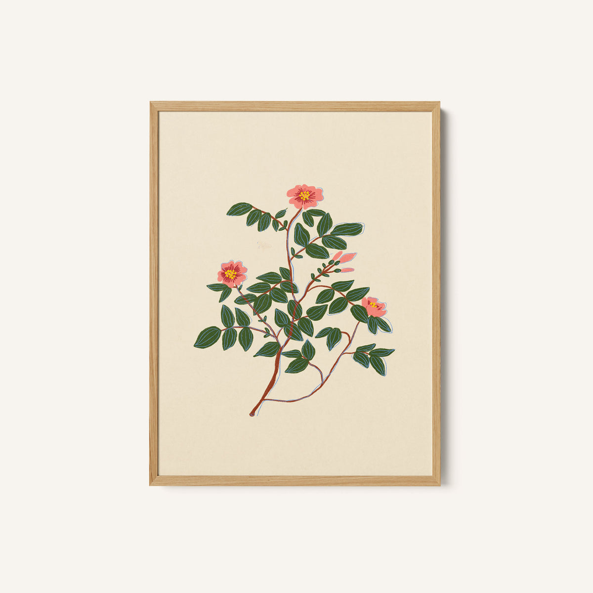 Wild Rose