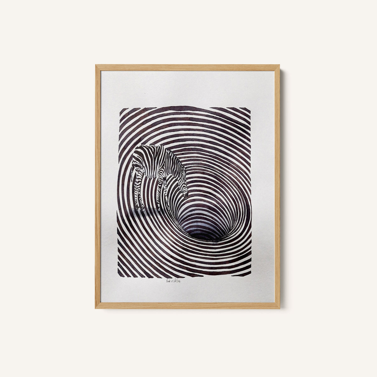 Zebra bij de Bron