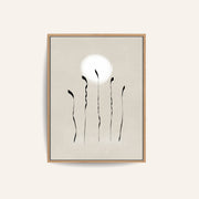 Moonlight – image 1