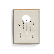 Moonlight – image 2