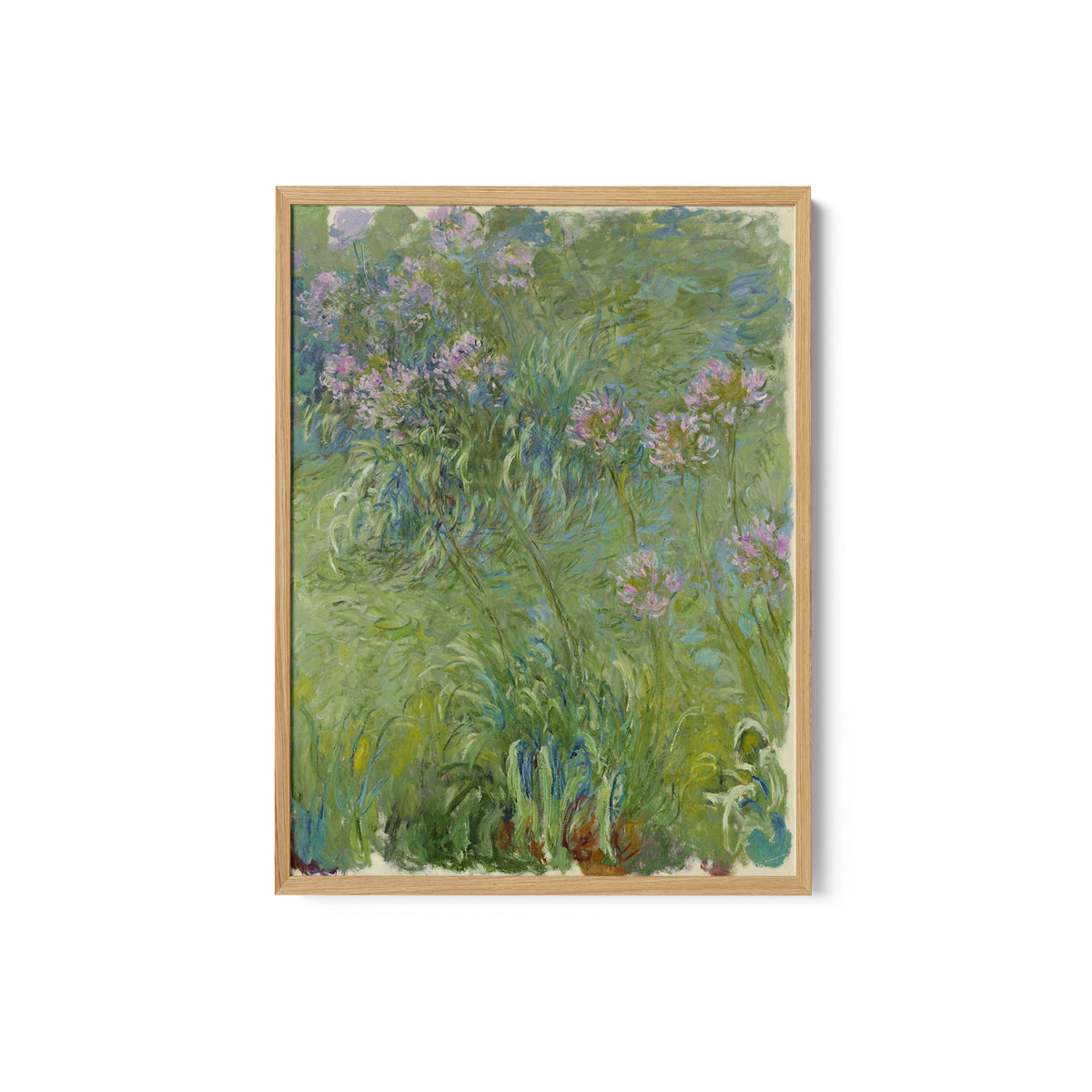 African Lily