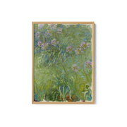 African Lily – image 2