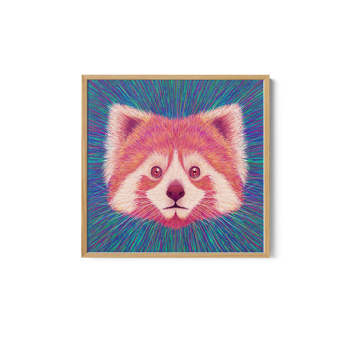 Animal Face - Red Panda