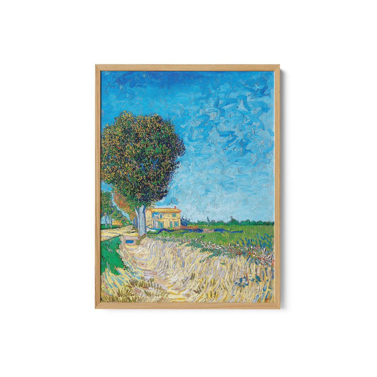 A Lane near Arles
