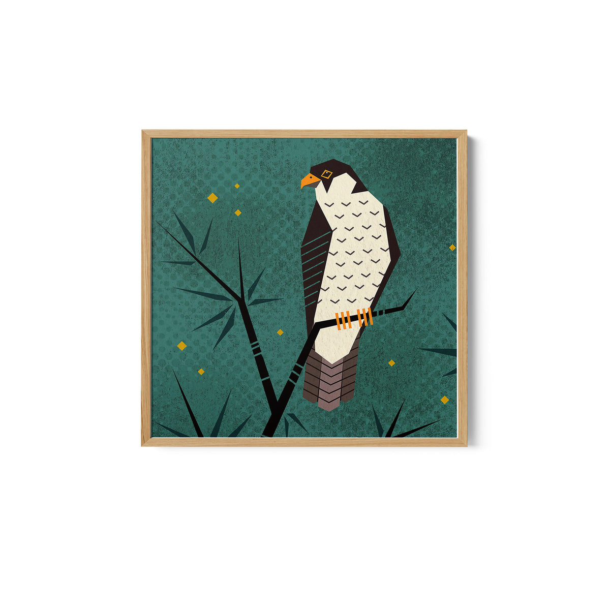 Bird Series - Geometry Falcon