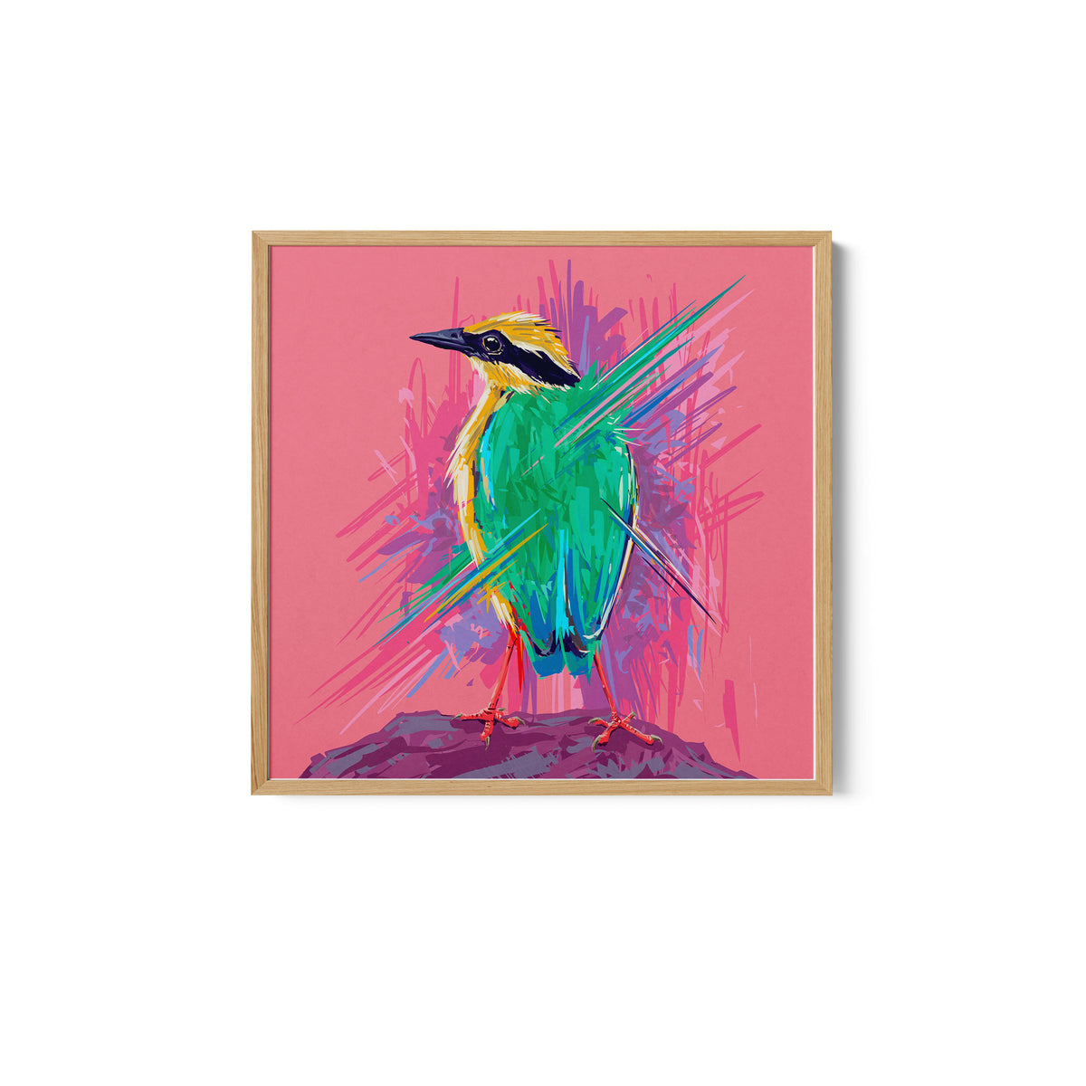 Bird Series - Indian Pitta
