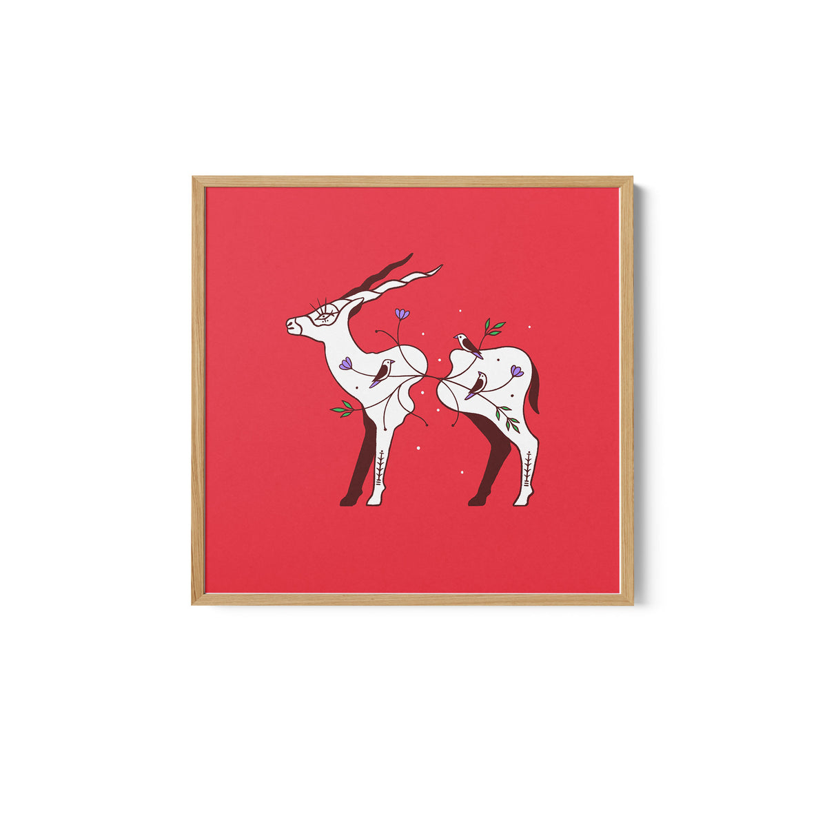Connecting Wildlife - Antelope