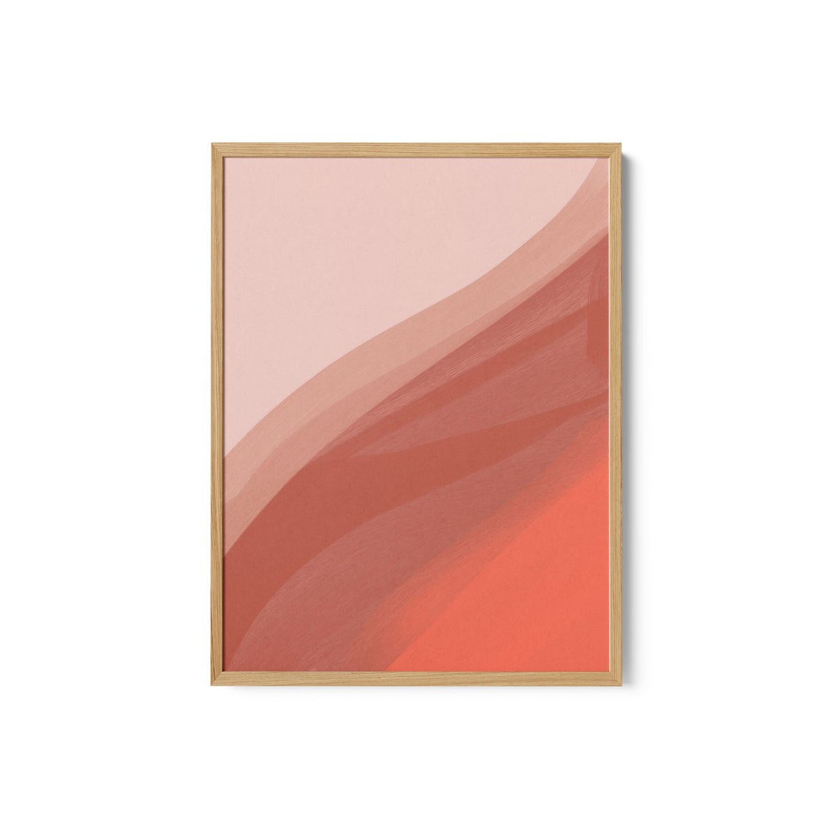 Coral IV