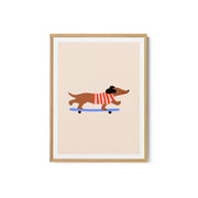 Dachshund on Skateboard – image 2